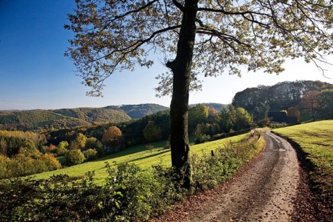 Autumnal landscape in Elfringhauser Schweiz region