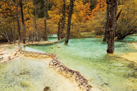 Lime terraces with lake in autumnal environment