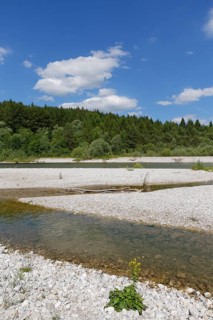Isar river