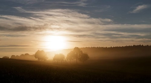 Sunset with dust from harvesting