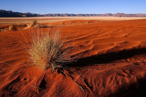 Southern foothills of the Namib desert