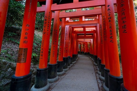 Fushimi Inari Taisha