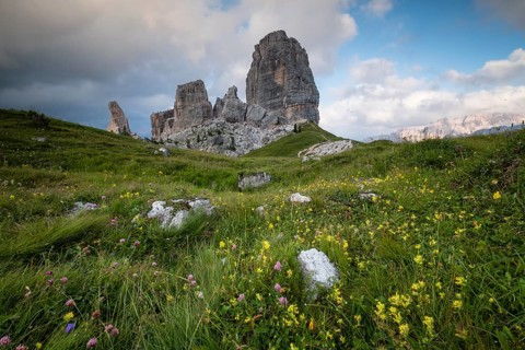 Cinque Torri with flower meadow