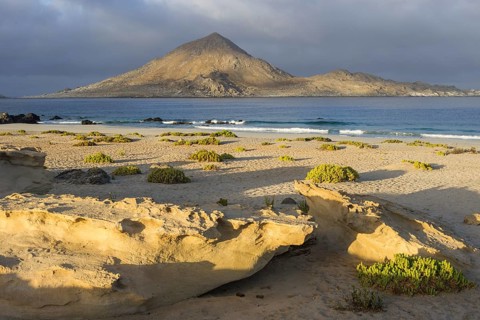 Coast in the morning light