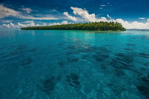Islet in the Ant Atoll