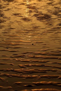 Beach at low tide in the evening light