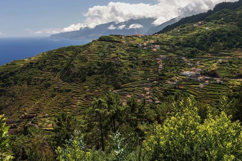 Terraced fields and houses
