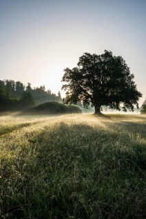 Morning atmosphere