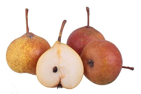Pear variety Reichenackerin