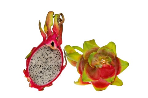 Pitahaya or Dragon Fruit (Hylocereus undatus)