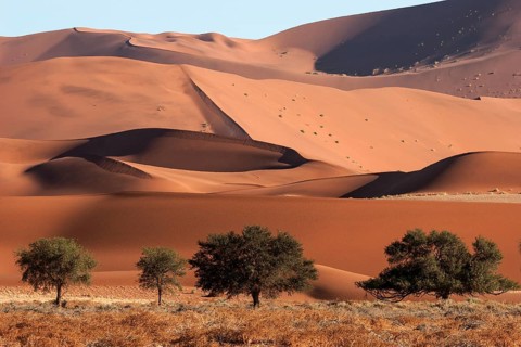 Sand dunes
