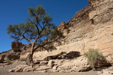 Sesriem Canyon