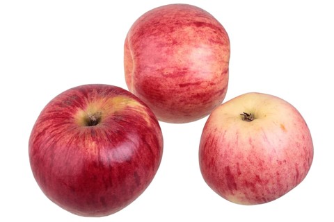 Apple variety Heuchelheim Snow Apple