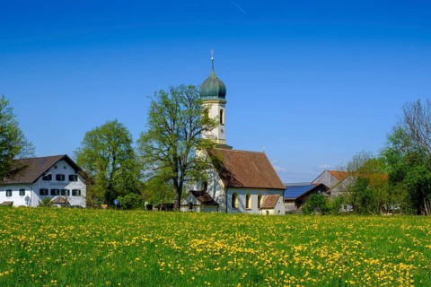 Church and dandelion meadow in spring