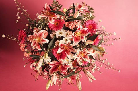 Colourful bouquet against a pink background