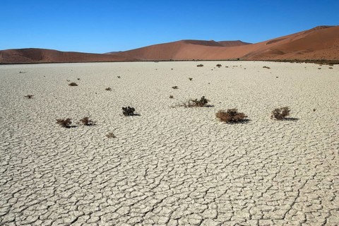 Hidden Vlei