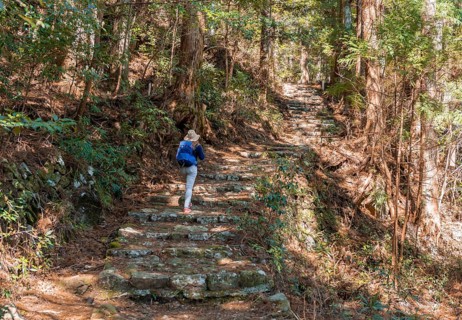 Hiker on a stony path through forest