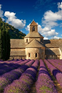 The Romanesque Cistercian Abbey of Notre Dame of Senanque