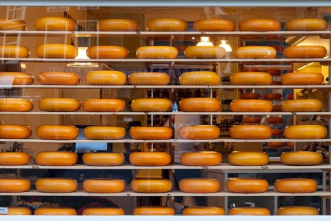 Cheese wheels in a shop