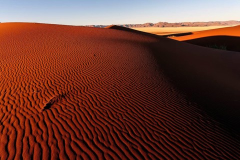 Sand dunes in the evening light