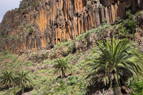 Basalt columns