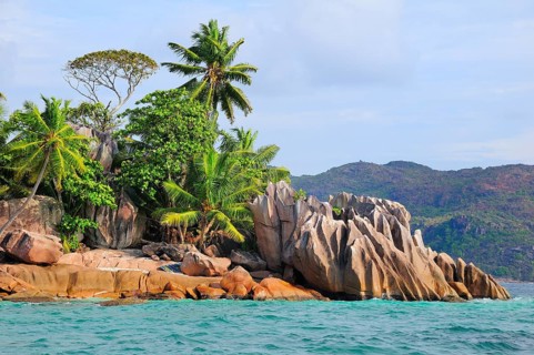 Coast with palm trees on eroded rocks