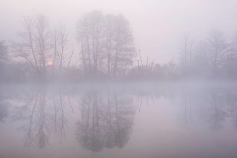 Sunrise in the fog at a pond