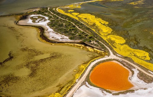 Salt patterns on the surface of salt marshes