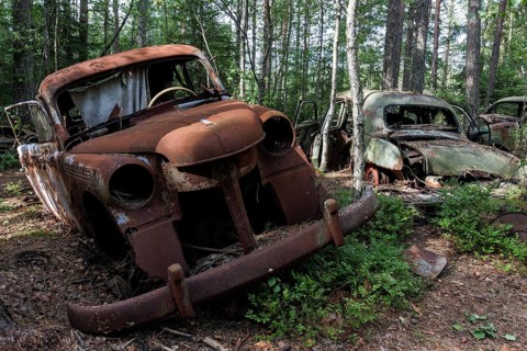 Junkyard in the forest