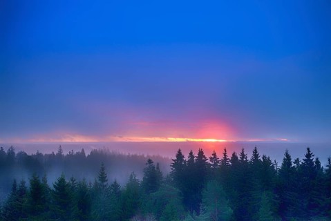 Sunrise in the northern Black Forest