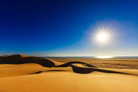 Dunes of the Namib Desert