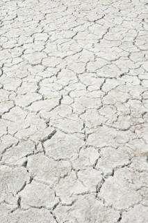 Desiccation cracks