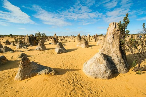 The Pinnacles limestone formations