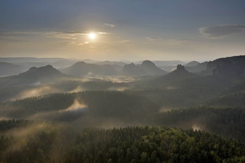 Fog at sunrise