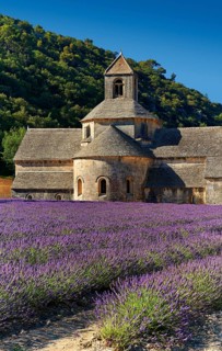 The Romanesque Cistercian Abbey of Notre Dame of Senanque