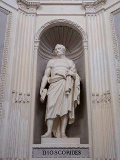 Statue of Dioscorides at Villa Giulia