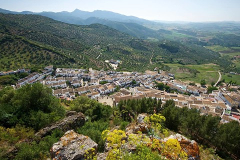 Townscape