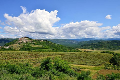 View across vineyards to the town with atmospheric clouds