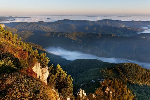 View from Alberfeldkogel mountain across lake Langbathsee in the fog