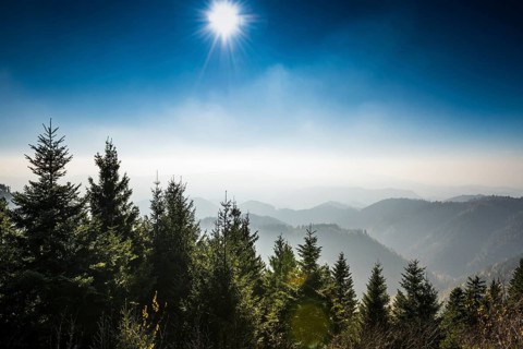 On the Schliffkopf