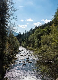 Mountain stream