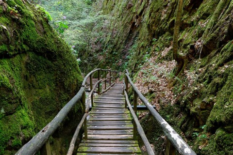 Rastenbachklamm