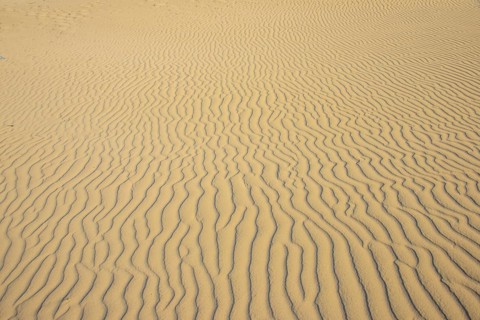 Sand ripples