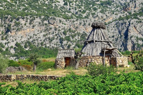 Shepherd's cottage in a vineyard