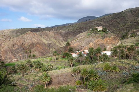 Alojera