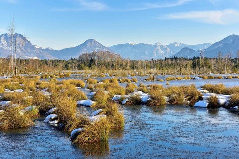 Moorlands in winter