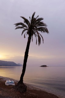 Boat and palm tree with morning sky on the beach of La Olla in Altea