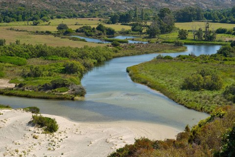 Mouth of the river Ostriconi in Calvi