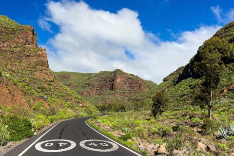 Road through the Barranco de Guayadeque canyon near Aguimes