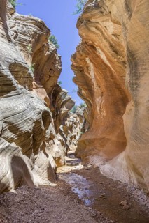 Hiking trail through Willis Creek Canyon
